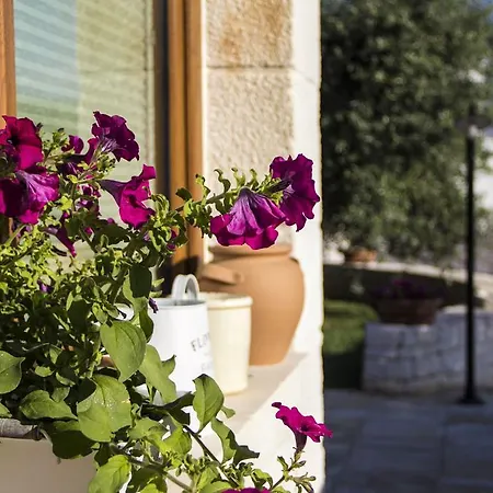 Bed & Breakfast La Gazza Ladra Alberobello